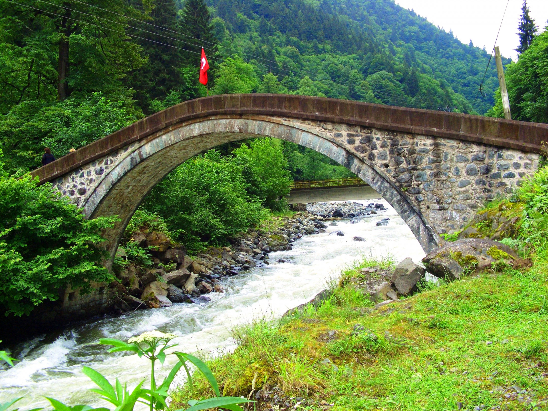 Taş Köprü Ziyareti ve Trabzon'a Dönüş